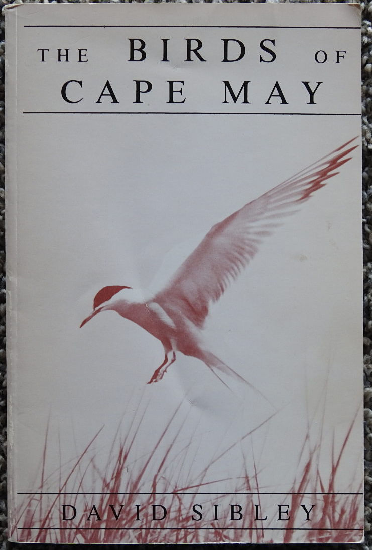 The Birds of Cape May - second edition - Image 2