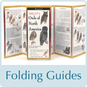 folding guides