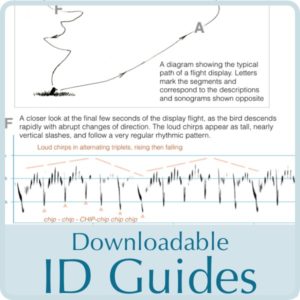 ID guides