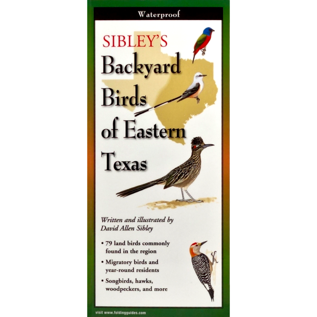 Sibley Birds 2019 Wall Calendar – Sibley Guides