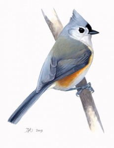 The Bird Song - Handy Finch