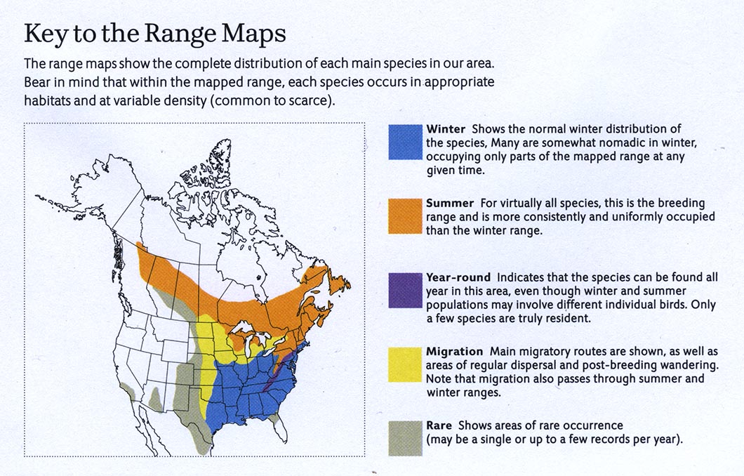 what-do-the-range-map-colors-mean-in-the-bird-guides-sibley-guides